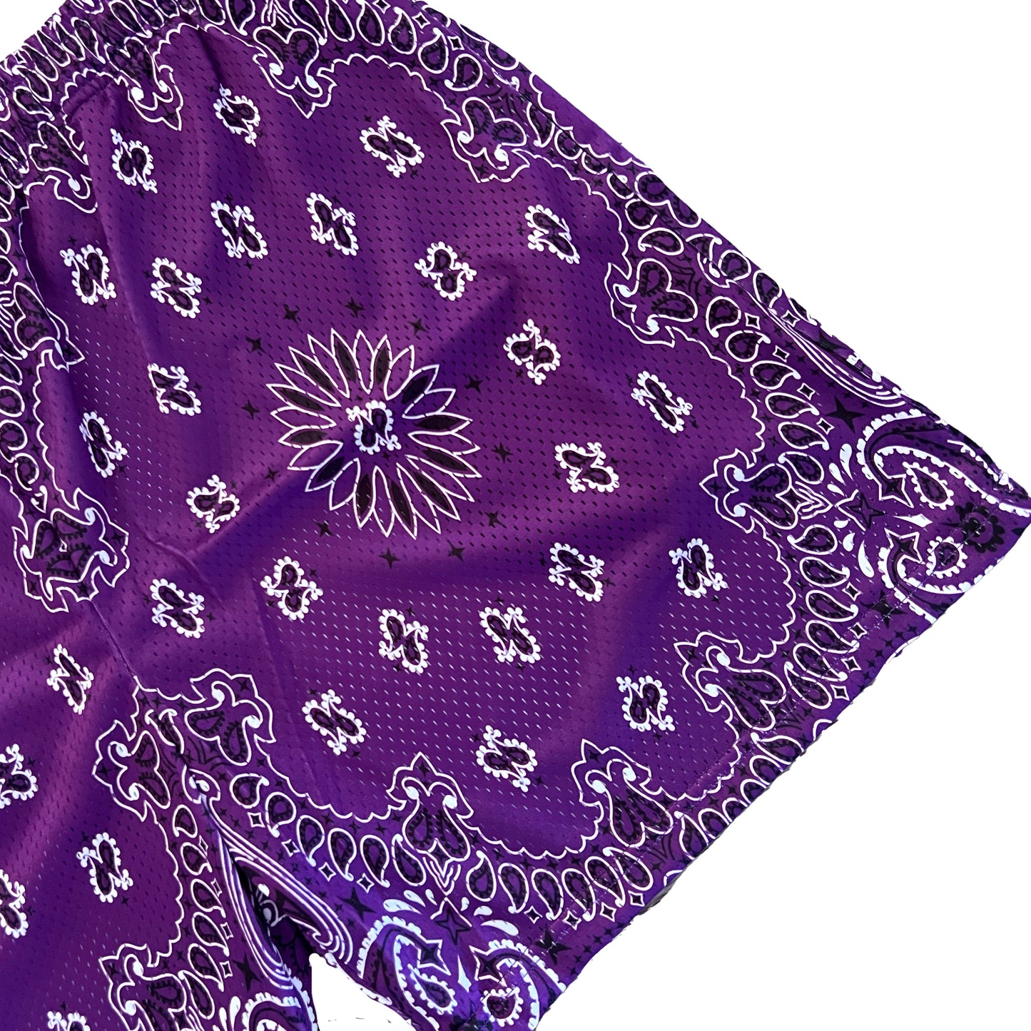 Purple Paisley Mesh Shorts