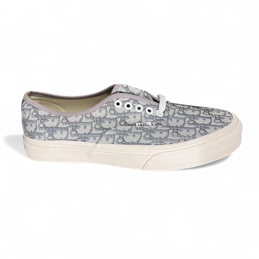 Dior Vans Grey