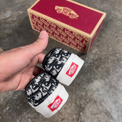 Dior Vans